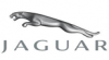 Products for Jaguar